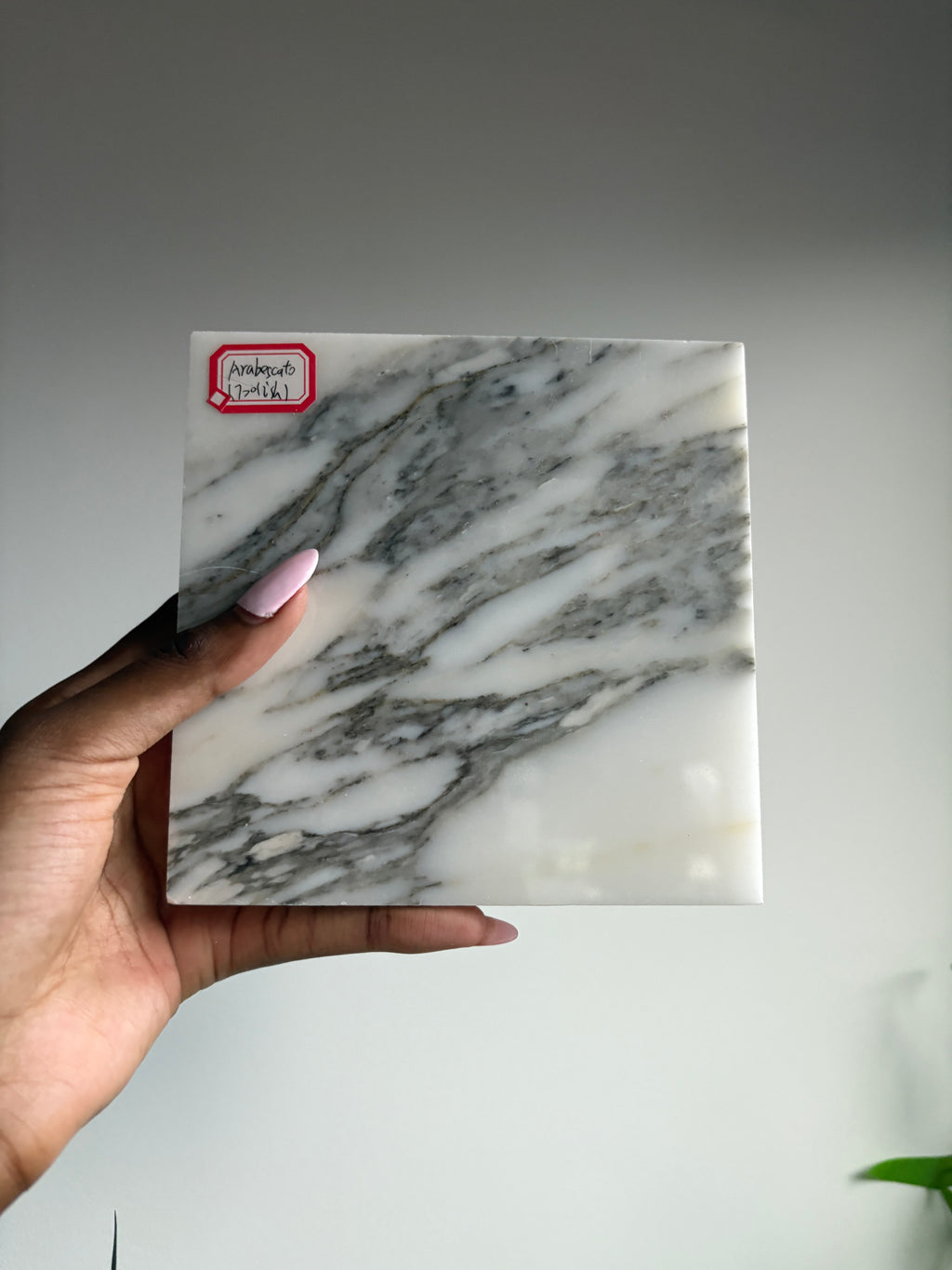 Mayze Premium Arbesscatto Marble